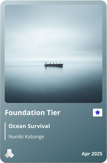 Foundation Tier