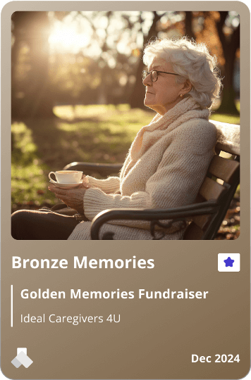 Bronze Memories